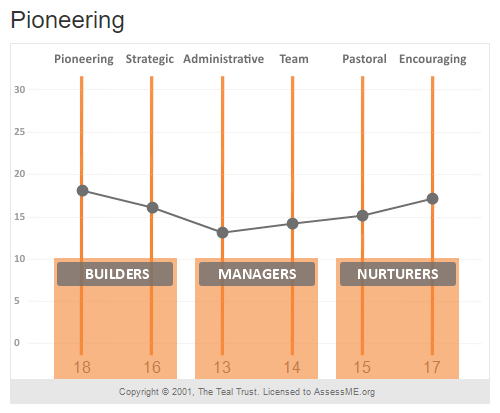 Screenshot of a Pioneering leadership profile within the Leadership Style Assessment by AssessME.org.